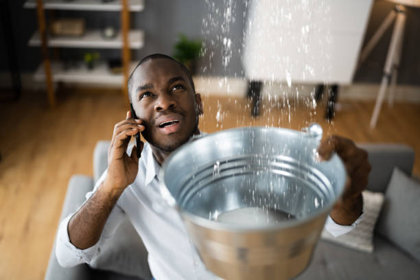 Best Professional water damage repair  in Gustine, CA