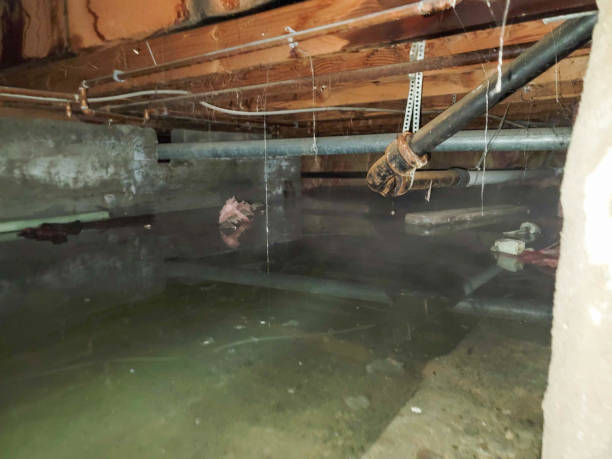 Best Flood restoration services  in Gustine, CA