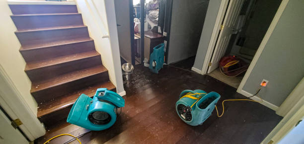 Best Water damage restoration near me  in Gustine, CA