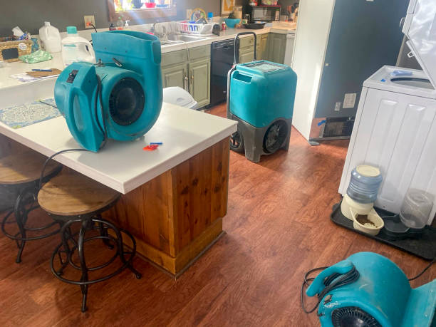 Best Basement water damage restoration  in Gustine, CA
