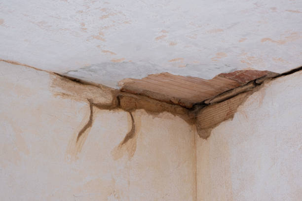 Best 24/7 water damage repair  in Gustine, CA