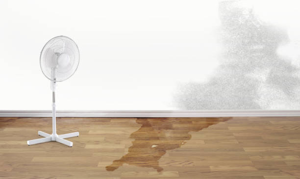 Best Residential water damage restoration  in Gustine, CA
