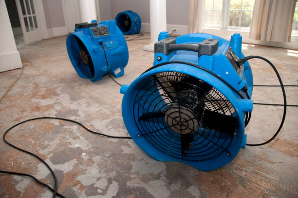 Best Professional water damage repair  in Gustine, CA