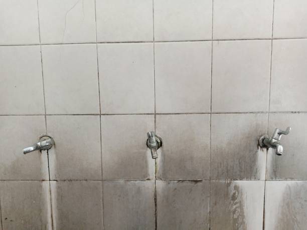 Best Residential water damage restoration  in Gustine, CA