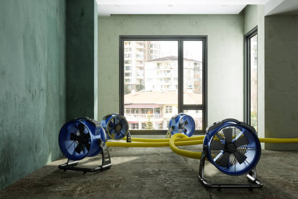 Best Sewage cleanup and water damage restoration  in Gustine, CA