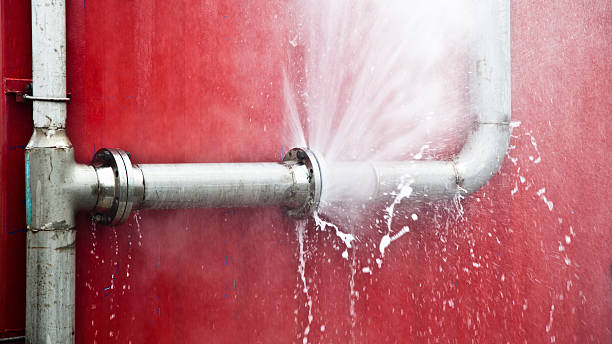 Best Flood damage cleanup  in Gustine, CA